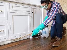 Real Estate Pest Inspections in Conehatta, MS